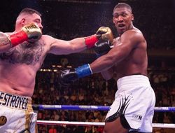 фото - 6 лучших боксерских поединков 2019