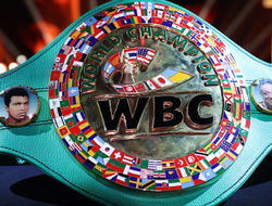 фото - WBC назначил реванш за титул чемпиона мира: первый бой завершился скандалом