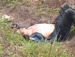 фото - Знаменитый Маркос Майдана попал в серьёзное ДТП на мотоцикле: видео