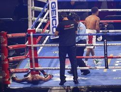 фото - Лучшие нокауты 2020 года в боксе — все в одном видео