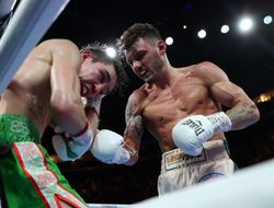 фото - Бой года Ли Вуд − Майкл Конлан. Итоговая статистика ударов