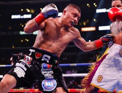 фото - Мейвезер и Эллерби оправдывают Дэвиса и намекают на бой с Камбососом