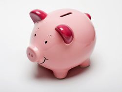 фото - Магомеда Исмаилова и Владимира Минеева оштрафовали за драку: сумма одинаково потешная