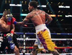 фото - Хэйни набросил на вентилятор на Дэвиса, упоминал Мейвезера и Камбососа