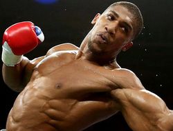 фото - Небитые супертяжи Энтони Джошуа и Уайт проведут реванш