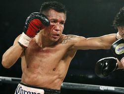 фото - Салидо и Варгас обещают эпический мексиканский бой: комментарии