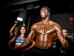 фото - Президент WBC закрыл «дело Уайлдера» после того, как чемпион извинился