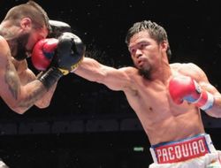 фото - Украинец Ломаченко хорош на ногах, но Мэнни Пакьяо лучше — Роуч