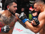 Эрнандес не заметил Перейру. Все результаты турнира UFC Fight Night 245