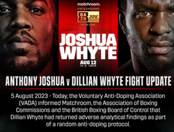 фото - Обновлено! Бой Джошуа-Уайт 2 не состоится. Хирн назвал причину