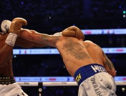 фото - Почему Джошуа до сих пор не принял решение по бою с Усиком? Мнение эксперта