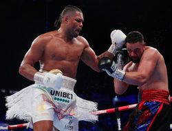 фото - Дэвид Хэй о поединке Джойс – Чжилеи 