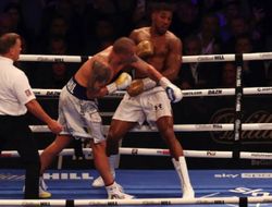 фото - Как Джошуа побить Усика в реванше? Ответ есть у британских экспертов