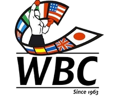 фото - Обновился рейтинг WBC: Беринчик, Меликузиев и Холматов в плюсе
