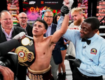 Варгас признан чемпионом мира — решение WBA