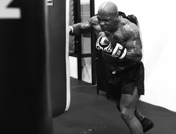 фото - Тайсон в преддверии боя с Полом: «Мне он не нравится»