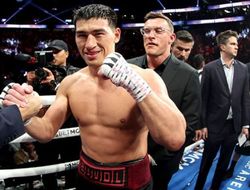 фото - Хирн о следующем поединке Бивола: «Да мне самому интересно»