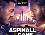 UFC: Том Аспиналл – Сирил Ган. Результаты из Абу-Даби