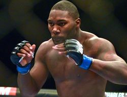 фото - Тейшейра–Джонсон и Холм–Шевченко на UFC on Fox 20