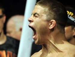 фото - UFC Fight Night в Стокгольме: Стори удивил Нельсона и другие результаты