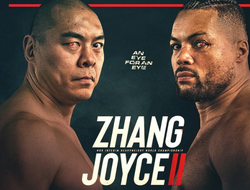 фото - Чжан Чжилеи – Джо Джойс 2. Результаты