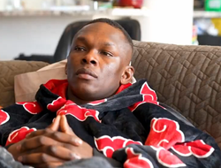 фото - Адесанья ответил на вызов Шары Магомедова в мемном стиле