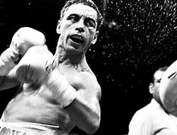 фото - (Результаты) Фернандо Монтиэль нокаутировал Ангки Ангкота