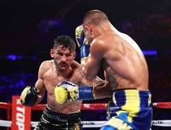 фото - Промоутер недоволен судейством в поединке Линарес−Ломаченко