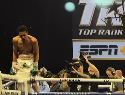 фото - В WBO заказали реванш — первый бой завершился огромным апсетом