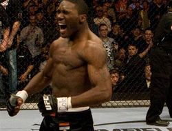 фото - UFC on FOX 12: Энтони Джонсон нокаутировал Антонио Рожерио Ногейру