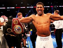 фото - Мнение: Джошуа придётся предлагать Уайлдеру и Фьюри половину призового фонда