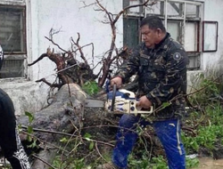 фото - Усик поблагодарил Чисору, бойцы на Хеллоуин, тренер Пакьяо на спасательных работах — обзор соцсетей