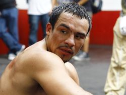 фото - Маркес последовал примеру Кличко и также уничтожил «каплю»