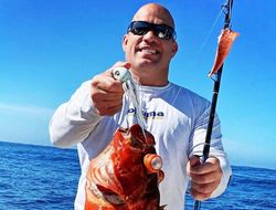 фото - «Сколько Тайсона не били, 15 лет?» Тито Ортис не унимается — хочет бой с Майком