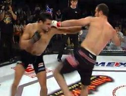 фото - Видео: ММА-турнир в Ростове завершился массовой потасовкой