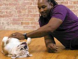 фото - Льюис: «Бой Мэйуэзер–Пакьяо показал, что бокс – жив»