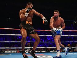 фото - Беллью утверждает, что Хэй был вынужден возобновить карьеру