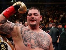 фото - Руис: «Хочу Уайлдера, не уйду на пенсию, пока не стану чемпионом WBC»