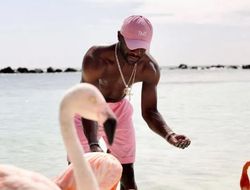 фото - Мейвезер отдыхает с невестой на Арубе, кормит фламинго с руки (+ фото)