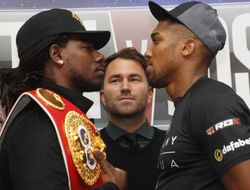 фото - Видео: промо-ролик к бою Мартина и Джошуа от vRINGe.com