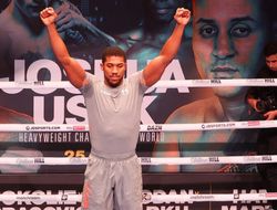 фото - Джошуа – Усик. Обнародованы имена рефери и судей