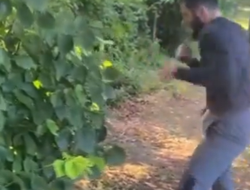 фото - Бетербиев спаррингует с листьями, готовясь к мегафайту с Биволом: видео