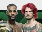 UFC 292: Стерлинг – О'Мэлли. Результаты из Бостона