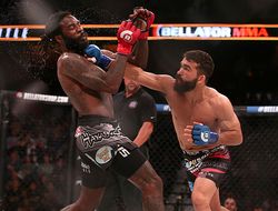 фото - Питбуль Фрейре вернул титул Bellator, заставив Страуса сдаться
