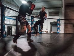 фото - Макгрегор в спарринге, Ковалёв на мешке, сборник нокаутов Хаглера — соцсети