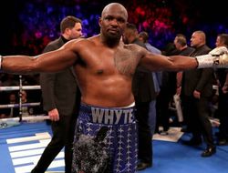 фото - Уайт хочет, чтобы в WBC его назначили обязательным претендентом без боя