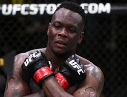 фото - Перейра отомстил Имадаеву, Сен-Прю вырубил Менифилда на UFC Fight Night 176: видео