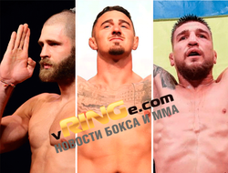 фото - Главные бои ноября 2023 в ММА: Прохазка – Перейра, Павлович – Аспиналл и вторая защита Амосова