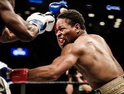 фото - Как Шон Портер Андре Берто остановил — видео от vRINGe.com