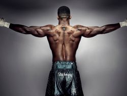 фото - У Джошуа проблемы со спаррингёрами в преддверии боя с Усиком? Выход есть